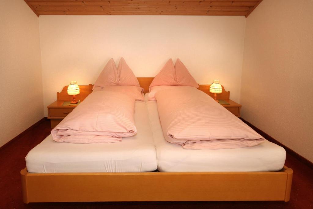 Pension Speckmoser Bad Mitterndorf Extérieur photo
