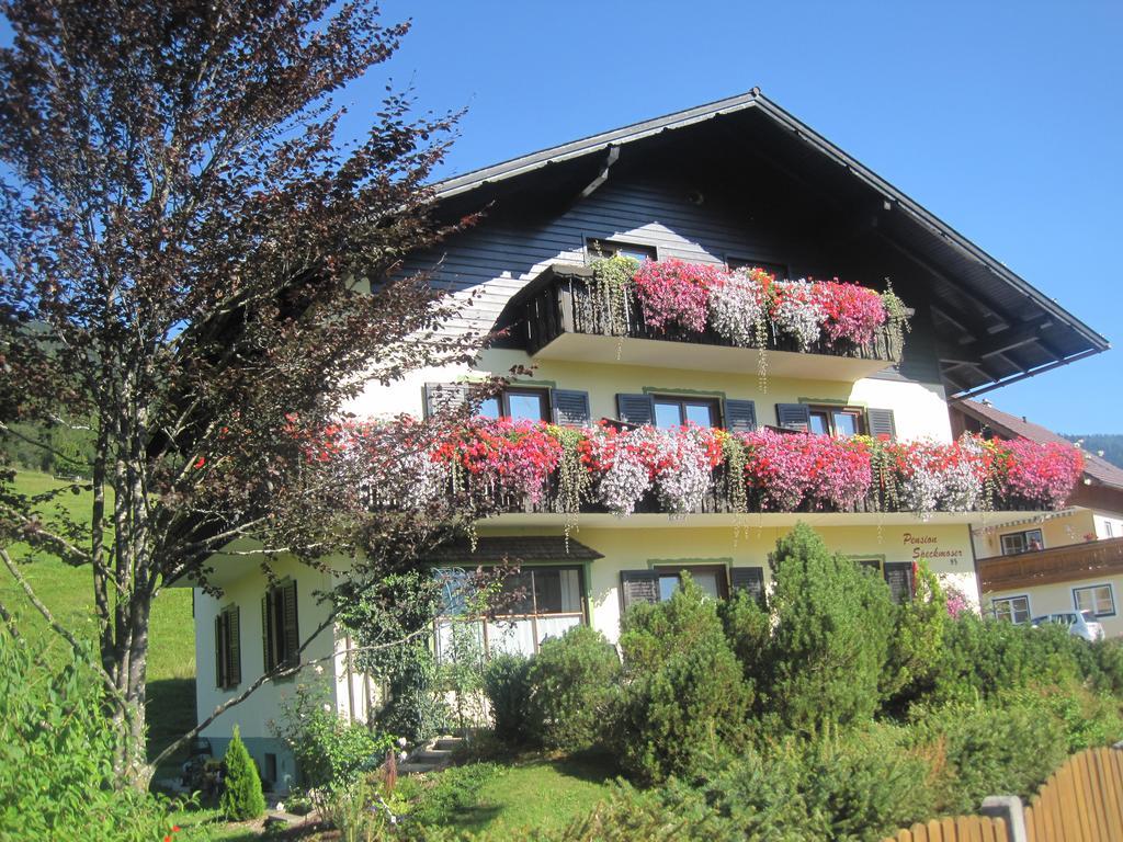 Pension Speckmoser Bad Mitterndorf Extérieur photo