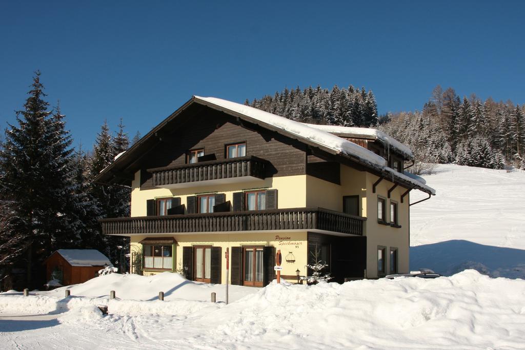 Pension Speckmoser Bad Mitterndorf Extérieur photo