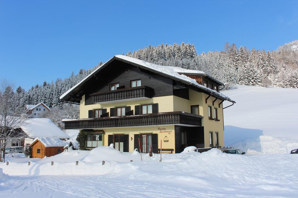 Pension Speckmoser Bad Mitterndorf Extérieur photo