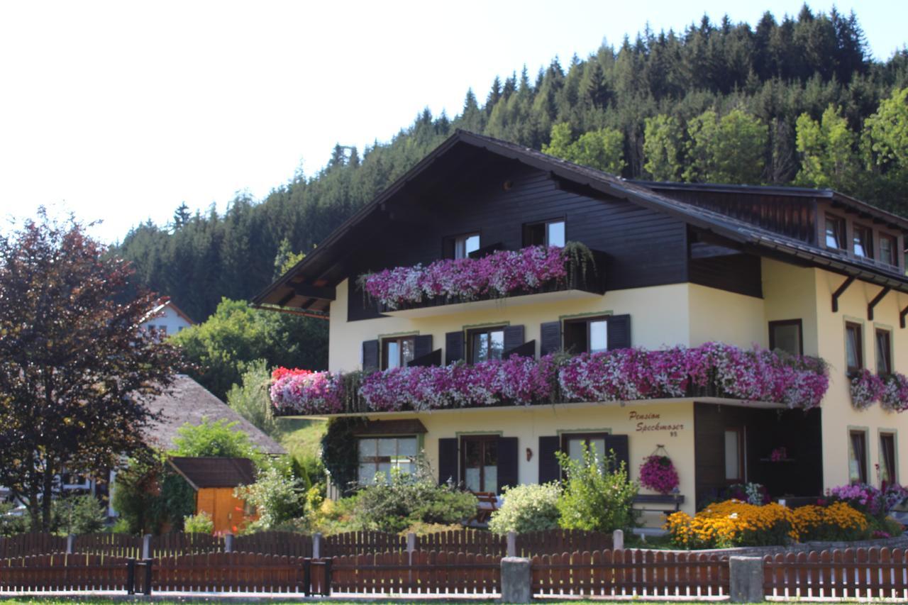 Pension Speckmoser Bad Mitterndorf Extérieur photo