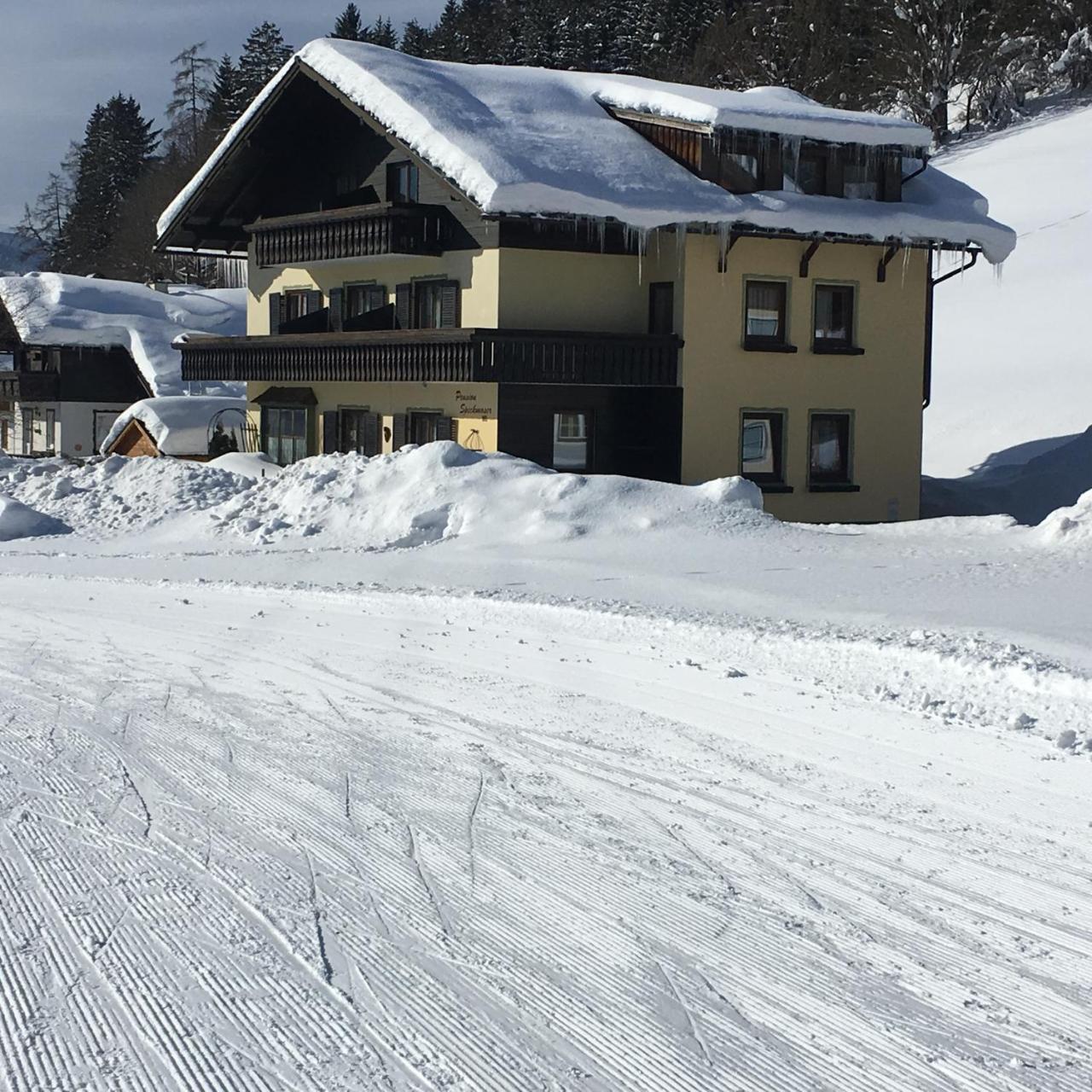 Pension Speckmoser Bad Mitterndorf Extérieur photo